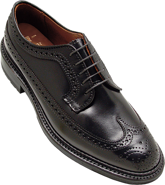Alden 9751C Long Wing Blucher